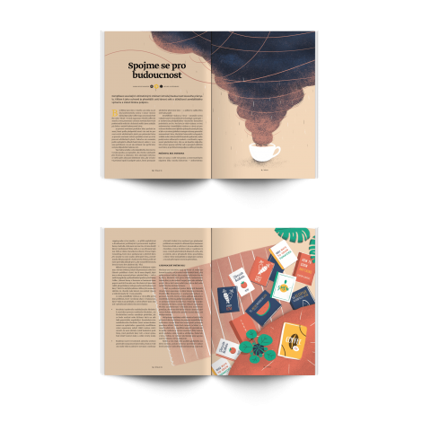 Standardna revija št. 13