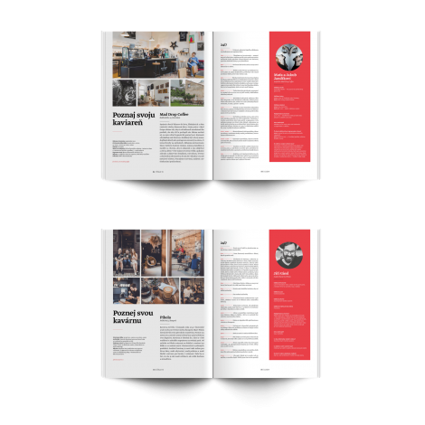 Standardna revija št. 13