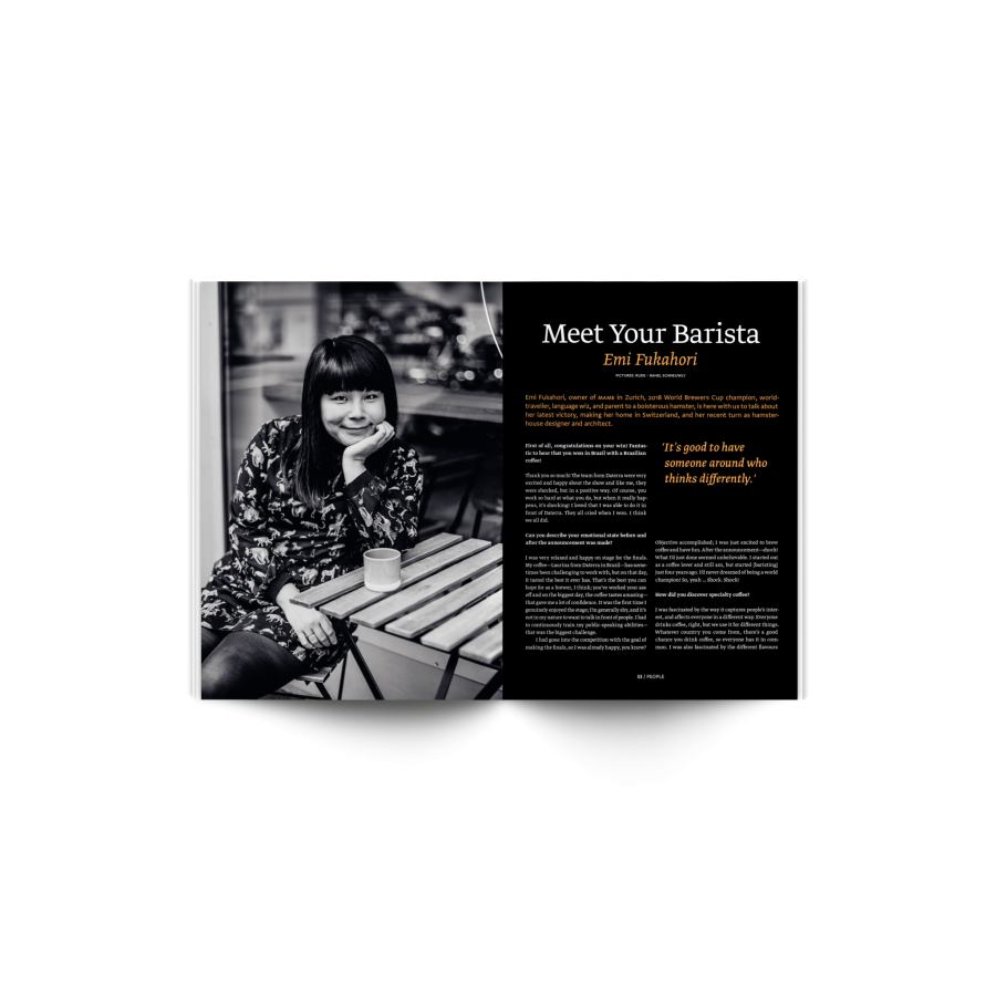 Standardna revija št. 14