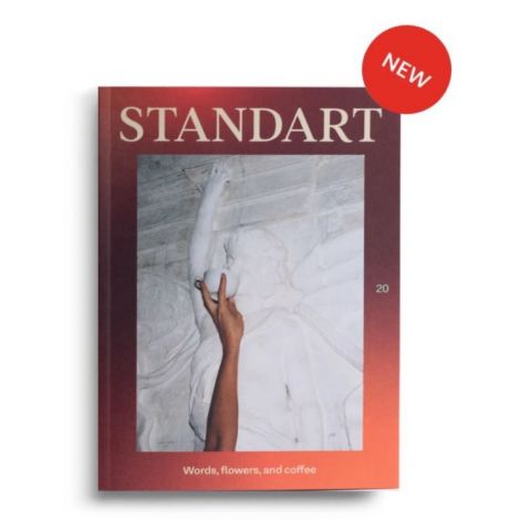 Standardna revija št. 20