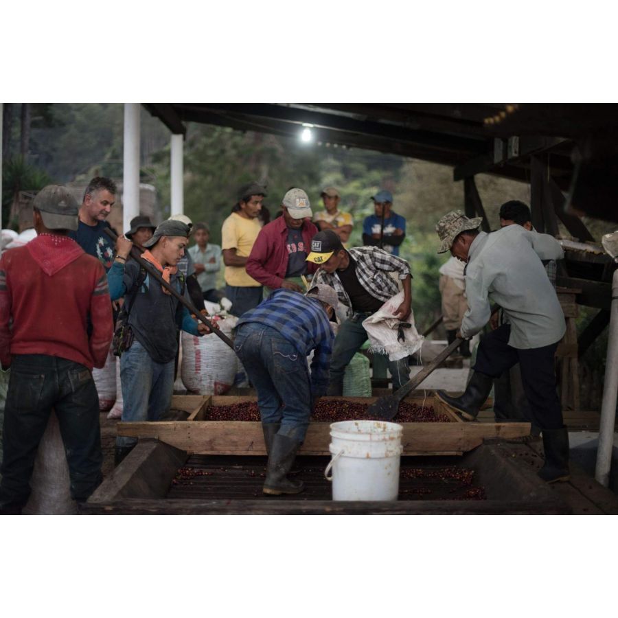 Nordbeans Guatemala WHITE FLAG 200g