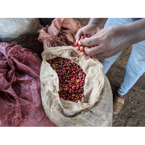 Nordbeans Ethiopia Koke 200g