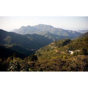 Guatemala Trés Maria, zrnjeva kava arabica 2