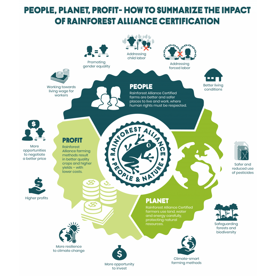 Brazilija Fazenda Rainforest, zrnjeva kava arabica