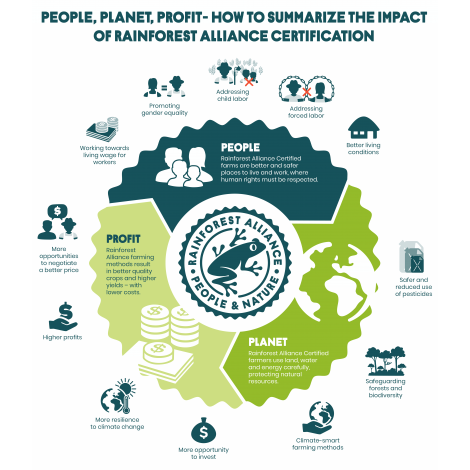 Brazilija Fazenda Rainforest, zrnjeva kava arabica