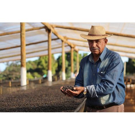 Nordbeans Brazilija Sao Silvestre 200g