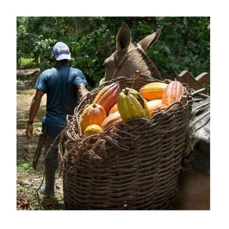 Čokolada Michel Cluizel Arcango Grand Noir 85%