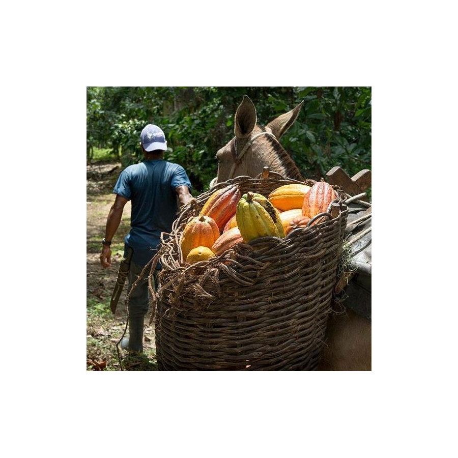 Čokoladna bonboniera Michel Cluizel "8 Cappuccino"