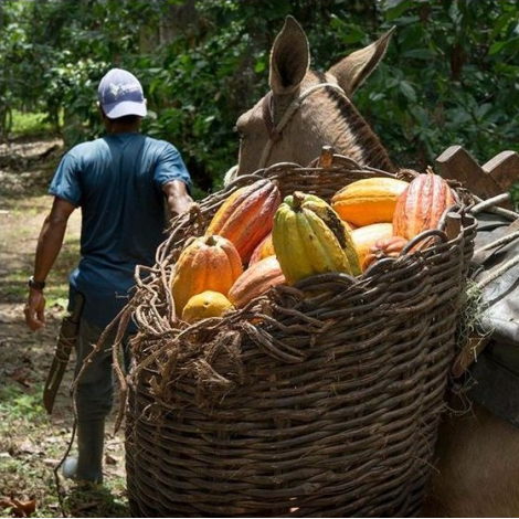 Čokoladna bonboniera Michel Cluizel "8 Cappuccino"