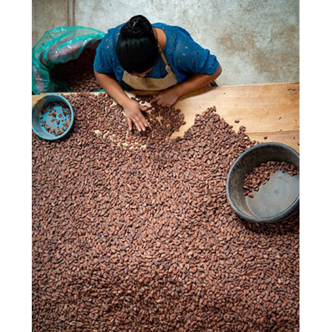 Čokoladna bonboniera Michel Cluizel "8 Cappuccino"