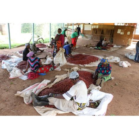 Fiftybeans Kenija Riakiberu, 200g