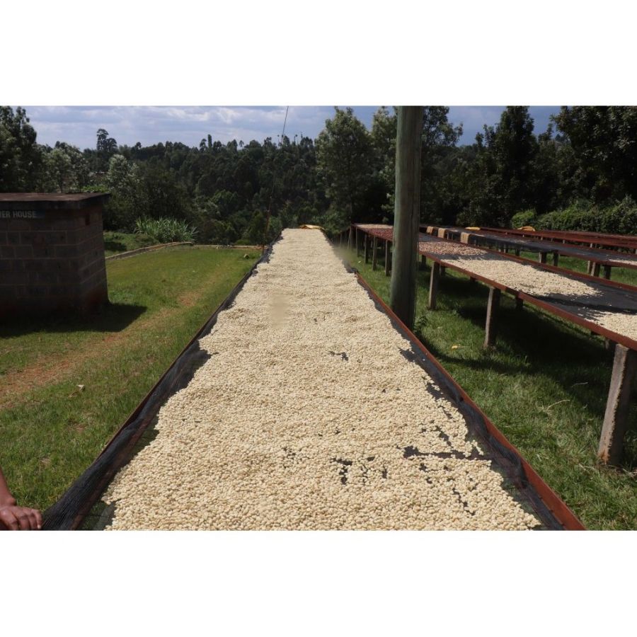 Fiftybeans Kenija Riakiberu, 200g