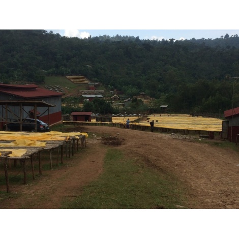 GourmetCoffee Specialty - Etiopija Chelbesa Natural 250g