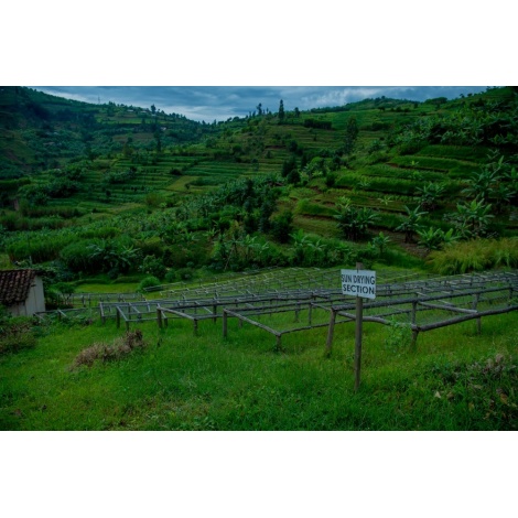 GourmetCoffee Specialty - Rwanda Ngororero 250g