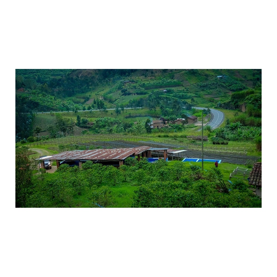 GourmetCoffee Specialty - Ruanda Ngororero 250g