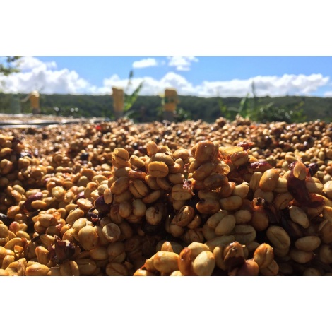 Nordbeans Kostarika VARA BLANCA HONEY, 250g