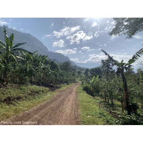 GourmetCoffee Specialty Uganda Buwobodeya 250g