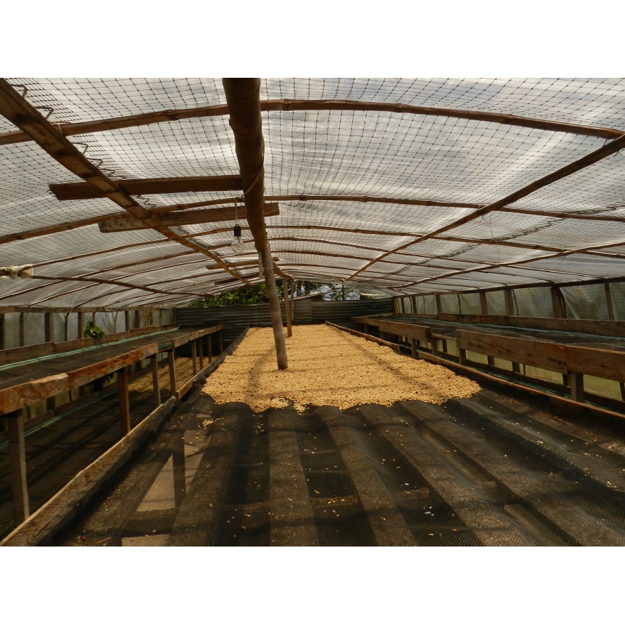 GourmetCoffee Specialty Kolumbija Tumbaga DECAF 250g