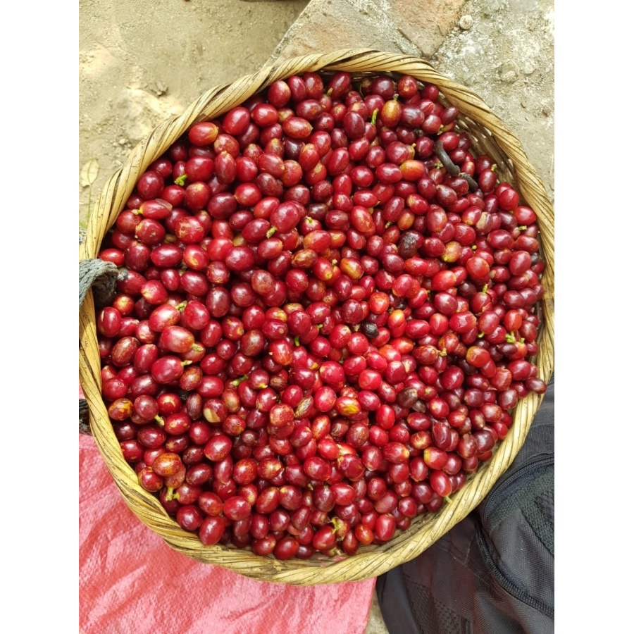 GourmetCoffee Specialty - Salvador V. Hermosa Anaerobic 250g