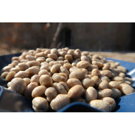 GourmetCoffee Specialty Kenya Wamuguma PB 250g