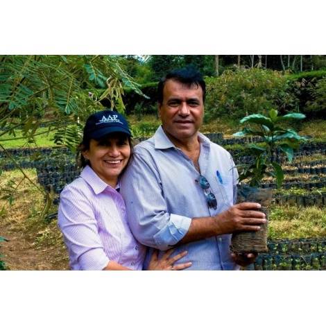 Beansmiths Nikaragva - Finca Aurora, 250g