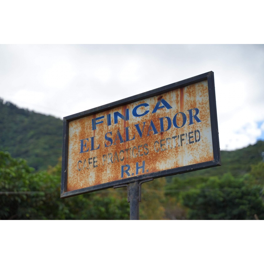 Nordbeans Salvador RODOLFO, 250g