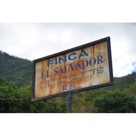 Nordbeans Salvador RODOLFO, 250g