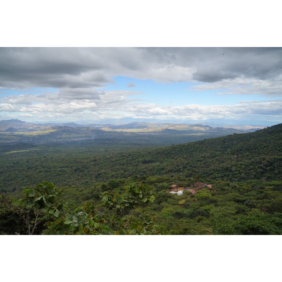 Nordbeans Salvador RODOLFO, 250g