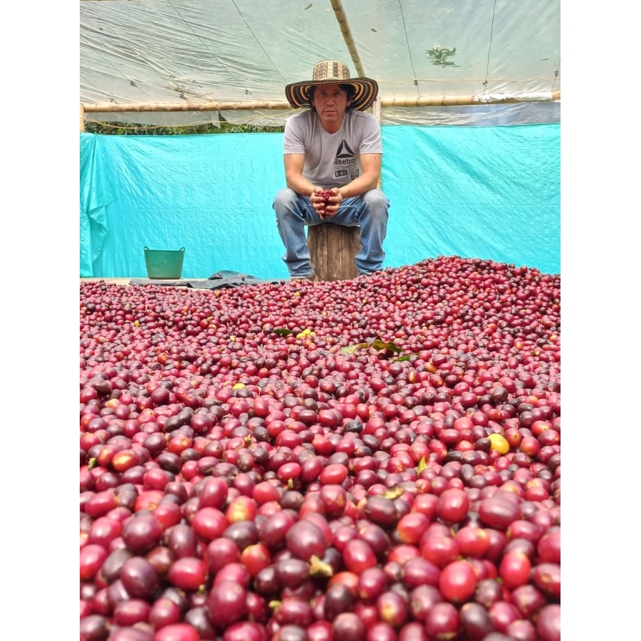 GourmetCoffee Specialty KolumbijaEl Agrado Honey 250g