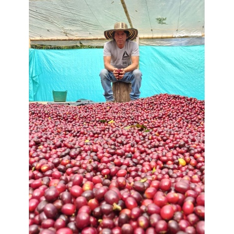 GourmetCoffee Specialty KolumbijaEl Agrado Honey 250g