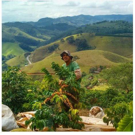 GourmetCoffee Specialty - Brasil Honorio 250g