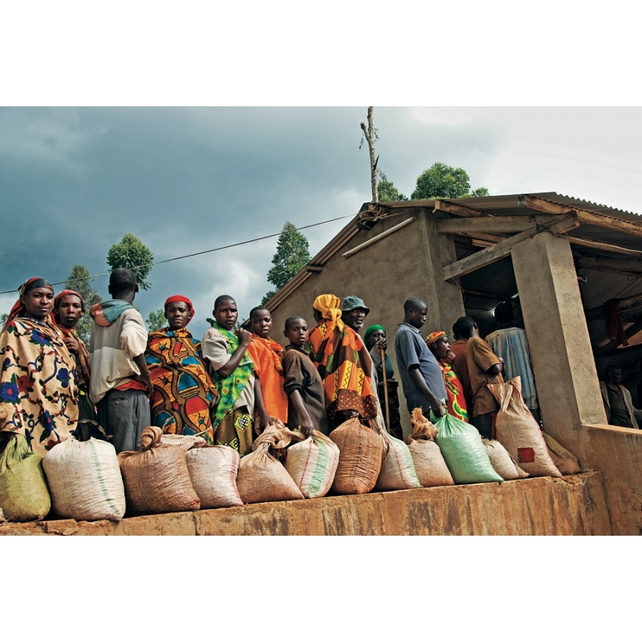 Knjiga: James Hoffmann - 2. izdaja (EN)