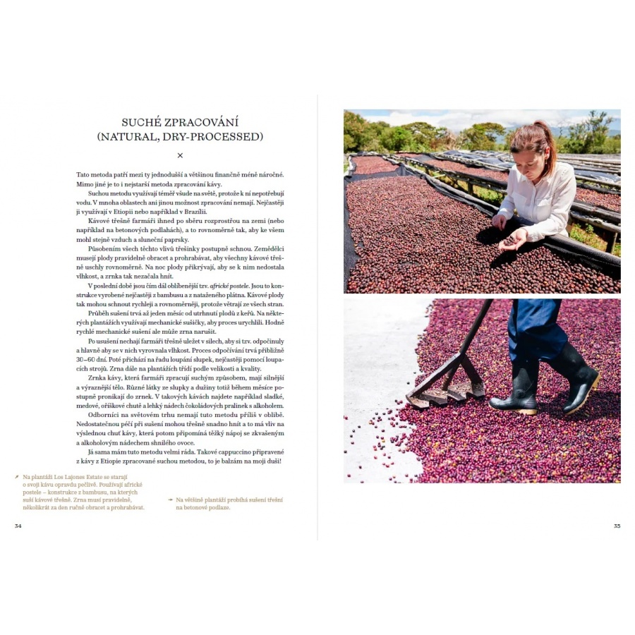 Velika knjiga o kavi - Petra Veselá