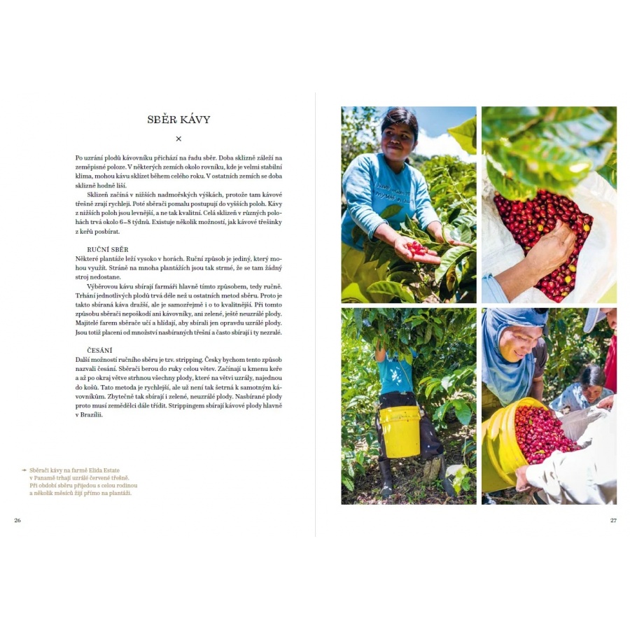 Velika knjiga o kavi - Petra Veselá