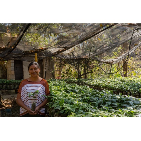 GourmetCoffee Specialty Guatemala Comal 250g