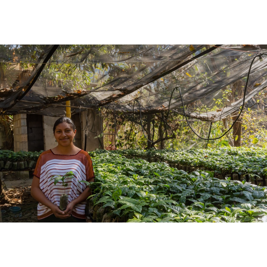 GourmetCoffee Specialty Guatemala Huehuetenango ESP 250g