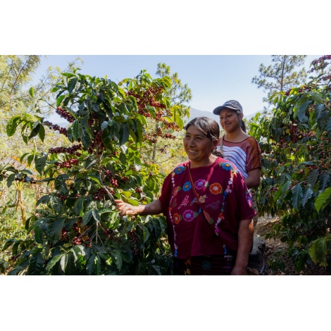 GourmetCoffee Specialty Guatemala Huehuetenango ESP 250g