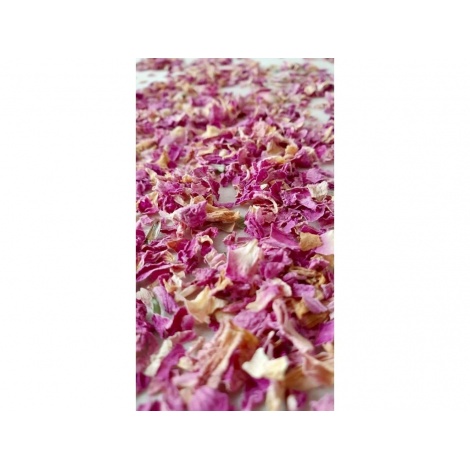 Čokolada Mešana čokolada, Tanzanija Jagode, kokos, vrtnica 58,5%