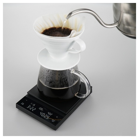 Hario Polaris Digitalna tehtnica - Črna