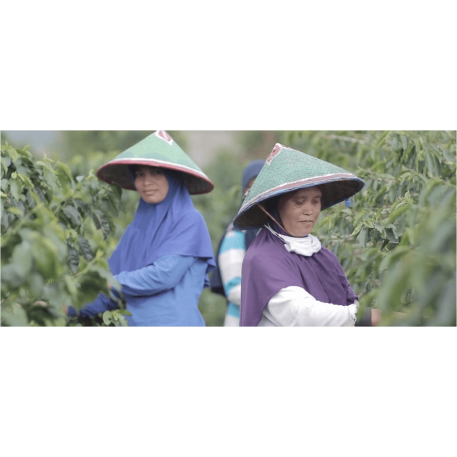 Beansmiths Indonezija Koerintji Barokah AN-H 250g