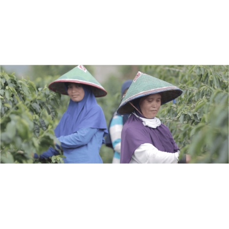 Beansmiths Indonezija Koerintji Barokah AN-H 250g