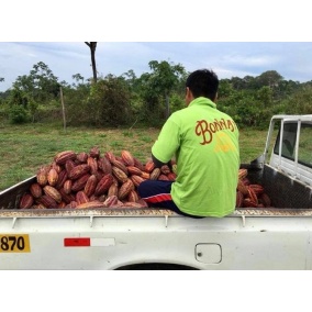 Čokolada Bonnat 100% 2