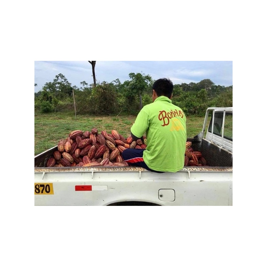 Čokolada Bonnat 100%