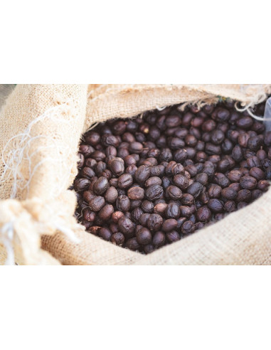 GourmetCoffee Specialty Brazilija Freitas ESP 250g