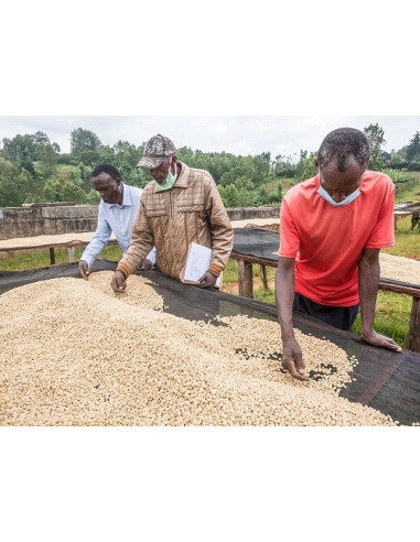 GourmetCoffee Specialty - Kenija Nyeri 250g