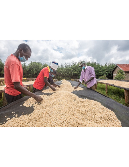 GourmetCoffee Specialty - Kenija Nyeri 250g