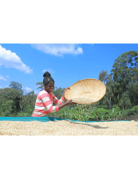 Beansmiths Ethiopia Chelichele 250g