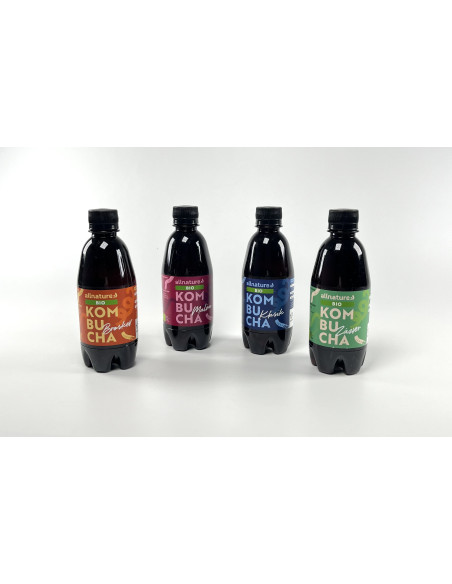 Allnature Kombucha Classic Organic 330 ml