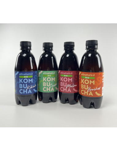 Allnature Kombucha Ginger Organic 330 ml