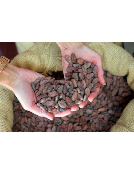 Mlečna čokolada Bonnat Noisettes 55% z lešniki